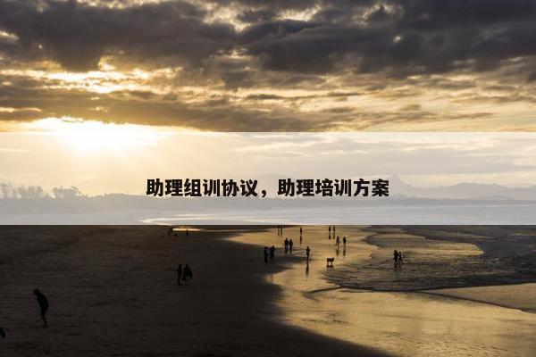 助理组训协议，助理培训方案