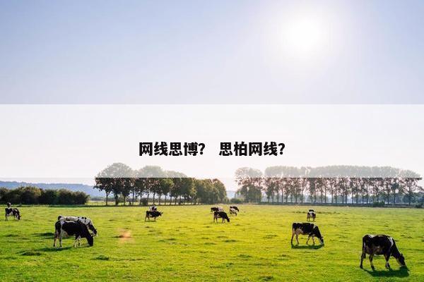 网线思博？ 思柏网线？