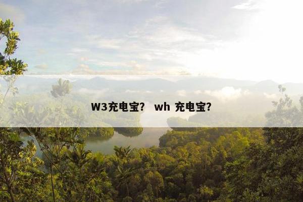 W3充电宝？ wh 充电宝？