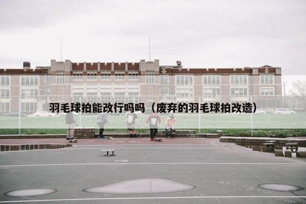 羽毛球拍能改行吗吗（废弃的羽毛球拍改造）