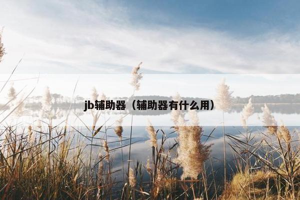 jb辅助器（辅助器有什么用）