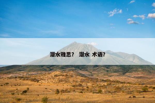 潜水雅思？ 潜水 术语？