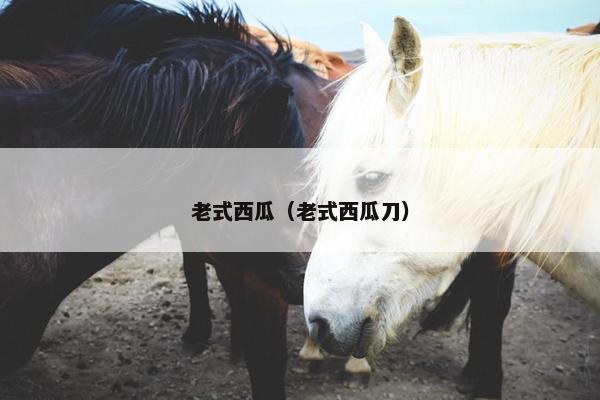 老式西瓜（老式西瓜刀）