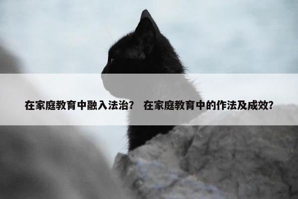 在家庭教育中融入法治？ 在家庭教育中的作法及成效？