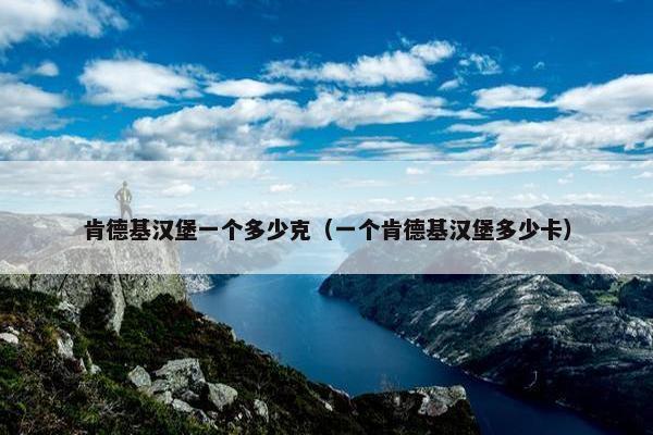 肯德基汉堡一个多少克（一个肯德基汉堡多少卡）