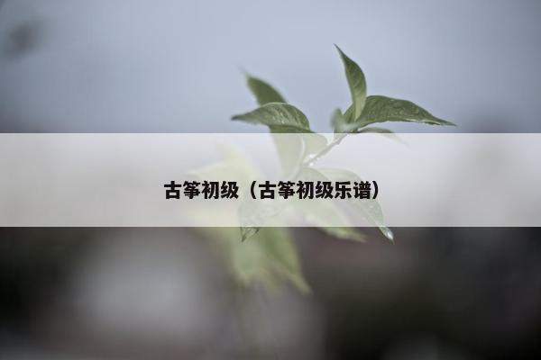 古筝初级（古筝初级乐谱）