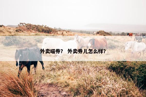 外卖喵券？ 外卖券儿怎么样？