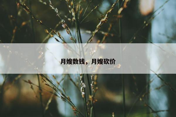 月嫂数钱，月嫂砍价
