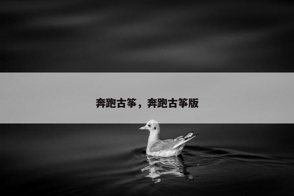 奔跑古筝，奔跑古筝版