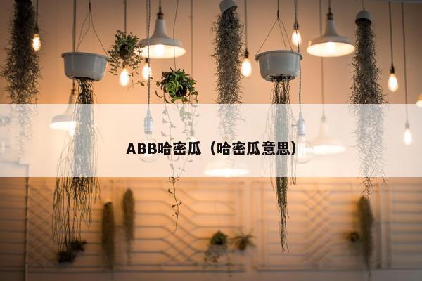 ABB哈密瓜（哈密瓜意思）