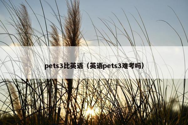 pets3比英语（英语pets3难考吗）