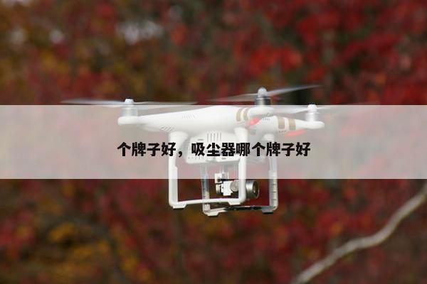 个牌子好，吸尘器哪个牌子好