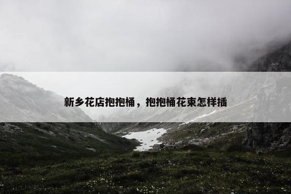 新乡花店抱抱桶，抱抱桶花束怎样插
