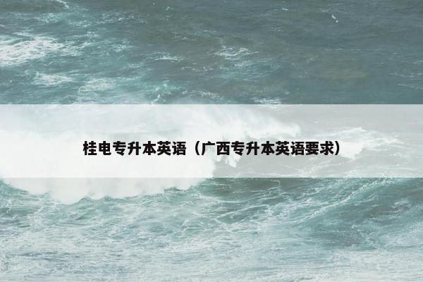 桂电专升本英语（广西专升本英语要求）