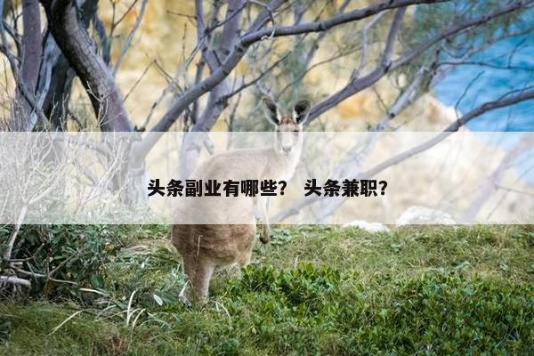 头条副业有哪些？ 头条兼职？