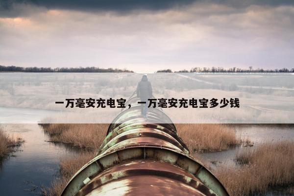 一万毫安充电宝，一万毫安充电宝多少钱