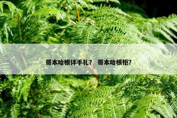 哥本哈根伴手礼？ 哥本哈根柜？