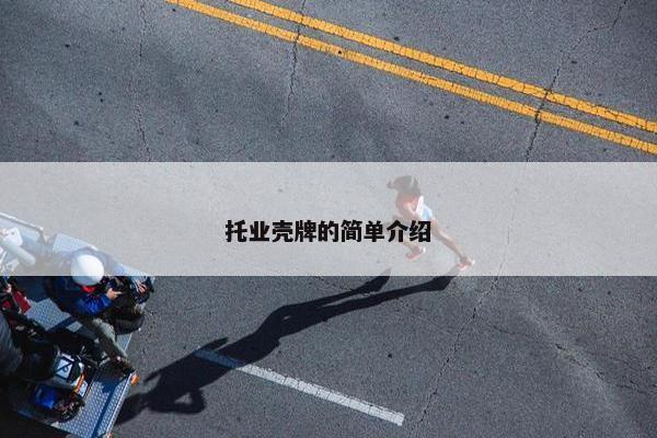 托业壳牌的简单介绍
