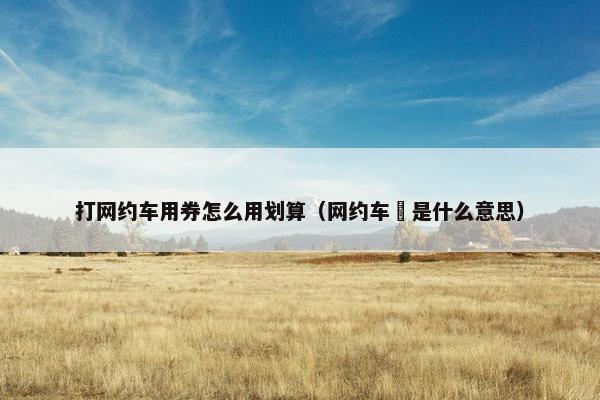 打网约车用券怎么用划算（网约车劵是什么意思）