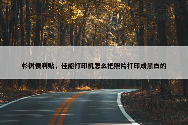 杉树便利贴，佳能打印机怎么把照片打印成黑白的