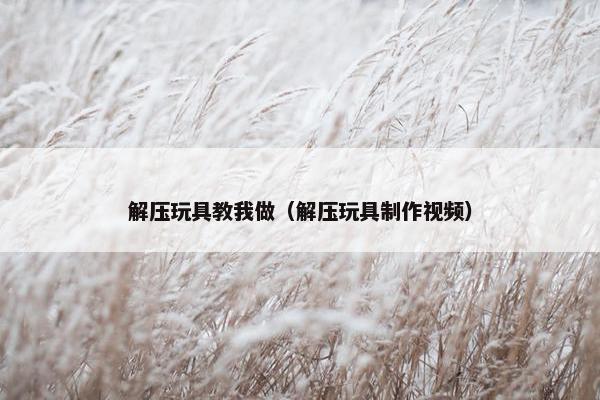 解压玩具教我做（解压玩具制作视频）