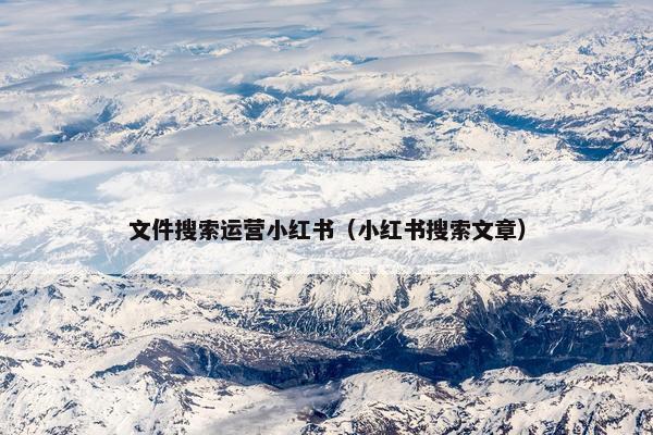 文件搜索运营小红书（小红书搜索文章）