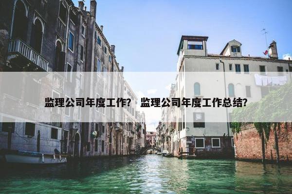 监理公司年度工作？ 监理公司年度工作总结？