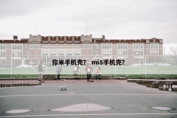 你米手机壳？ mi8手机壳？