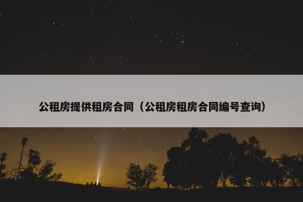 公租房提供租房合同（公租房租房合同编号查询）