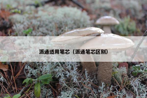 派通适用笔芯（派通笔芯区别）