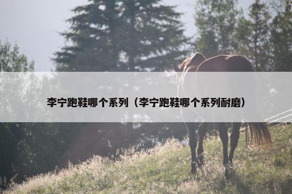 李宁跑鞋哪个系列（李宁跑鞋哪个系列耐磨）