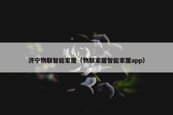 济宁物联智能家居（物联家居智能家居app）