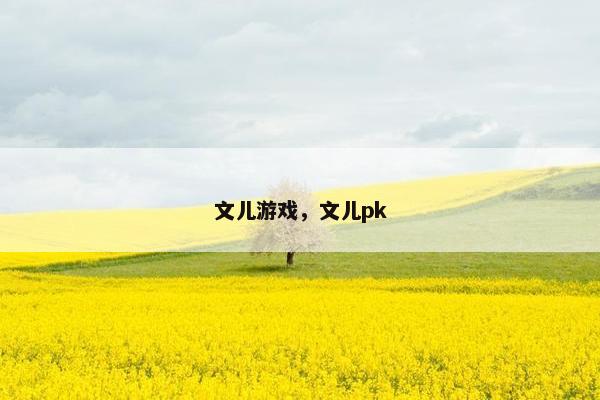 文儿游戏，文儿pk