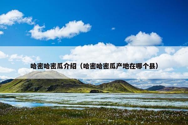 哈密哈密瓜介绍（哈密哈密瓜产地在哪个县）