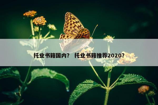 托业书籍国内？ 托业书籍推荐2020？