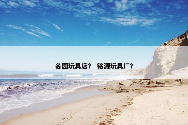 名园玩具店？ 铭源玩具厂？