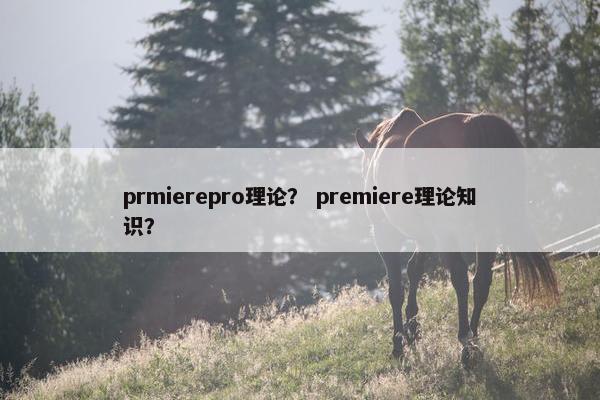 prmierepro理论？ premiere理论知识？