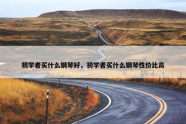 初学者买什么钢琴好，初学者买什么钢琴性价比高