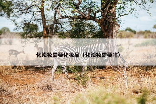 化淡妆需要化妆品（化淡妆需要啥）
