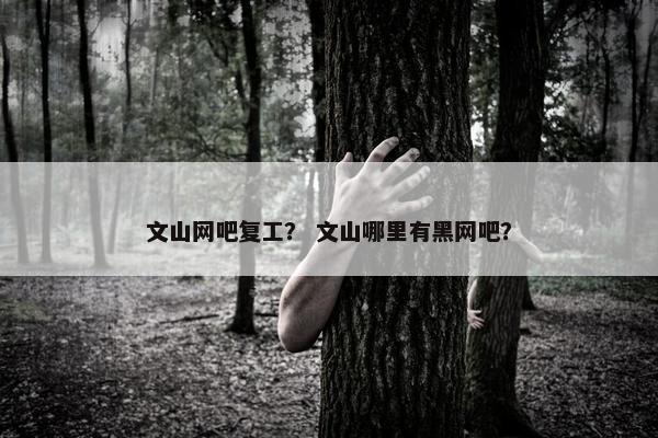 文山网吧复工？ 文山哪里有黑网吧？