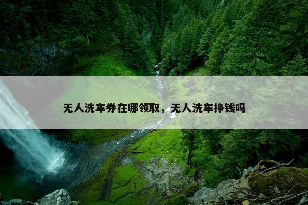 无人洗车券在哪领取，无人洗车挣钱吗