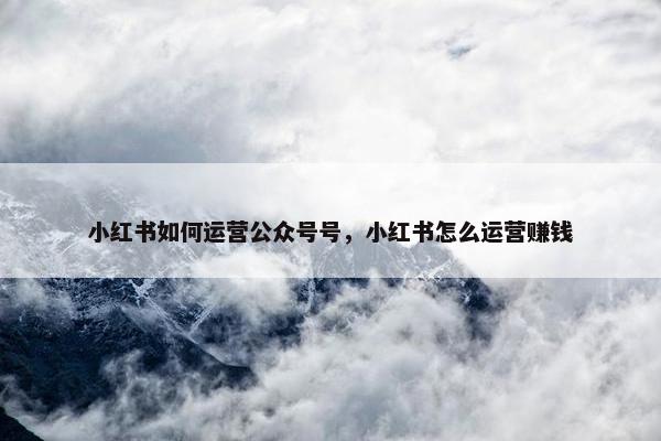 小红书如何运营公众号号，小红书怎么运营赚钱