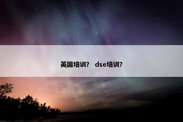 英国培训？ dse培训？