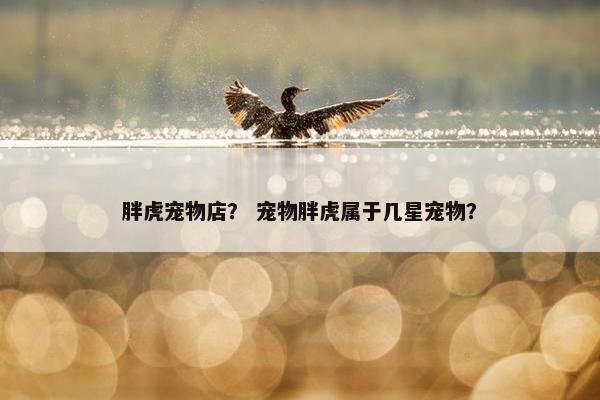 胖虎宠物店？ 宠物胖虎属于几星宠物？