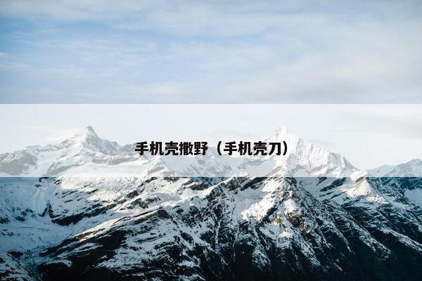 手机壳撒野（手机壳刀）