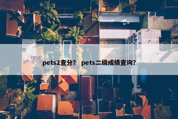 pets2查分？ pets二级成绩查询？