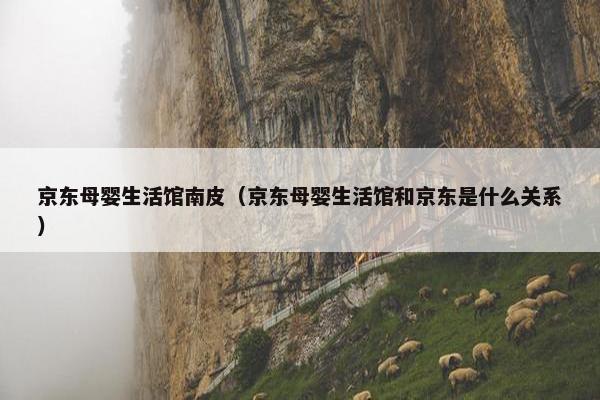 京东母婴生活馆南皮（京东母婴生活馆和京东是什么关系）