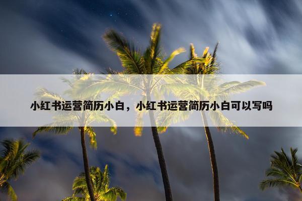 小红书运营简历小白，小红书运营简历小白可以写吗