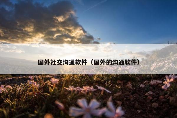 国外社交沟通软件（国外的沟通软件）