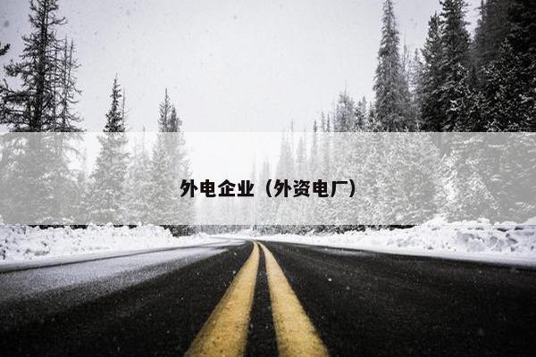 外电企业（外资电厂）
